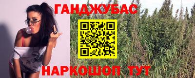 дживик Пенза