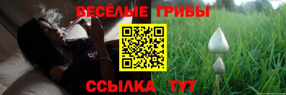 Псилоцибиновые грибы Psilocybine cubensis  Вход с VPN  Тихорецк 